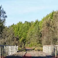 play Ancient Gongtats 4 - Diamond Bridge