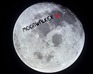 play Moonwalker