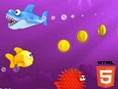 play Fishy Rush