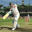 play The Ashes Cricket