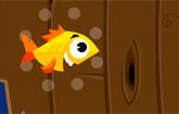 play Fifish