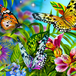 play Find The Spot-Butterflies