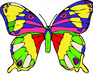 Butterfly Coloring