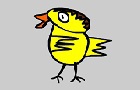 play Chicken On The Loose