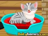 play Kitty Cat Winter Care