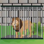 play Zoo Escape