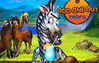 play Odd One Out: Zebra