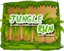 play Jungle Run