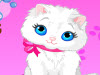 play Taking Bath For Your Cat