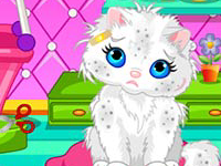 play Taking Bath For Your Cat