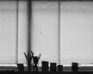 play 10 Gnomes 04: Foggy Flat