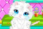 play Taking Bath For Your Cat