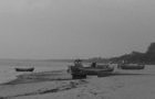 play 10 Gnomes 10 Seashore