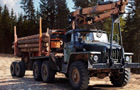 play Timber Lorry Driver