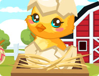 play Easter Baby Chick Care