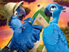 Rio 2 Spin Puzzle