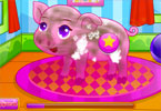 play Pet Piggy Care