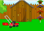 play Find My Balls Backyard