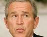 play Flappy Bush