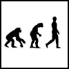 play Human Evolution