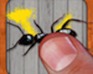 play Ant Smasher Best Free
