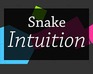 play Snake Intuition