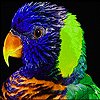 play Colourful Head Puzzle