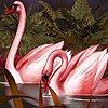 play Red Dream Swans Puzzle
