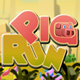 Pig Run