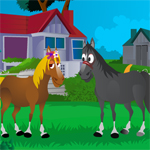 play Horse Kissing