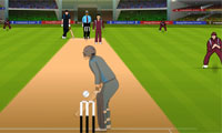 play Power Cricket T20