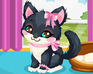 play Kitty Care 2