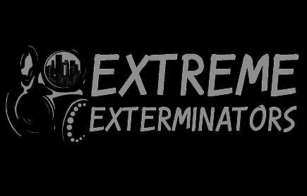 play Extreme Exterminators