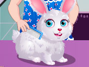 play Baby Hazel Pet Party