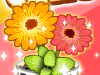 play Gourmet Kitchen: Pot Cake