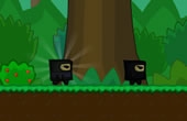 play Hidden Valley Ninja