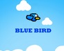 play Blue Bird Day