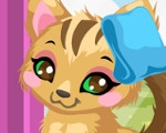 play Kitty Care 2