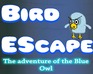 play Bird Escape