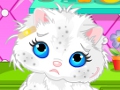 play Giving Bath To Your Cat