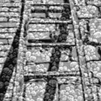 Bricks Of Black And White 2