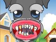 play Dog Dentist