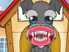 play Doggy Dental Care