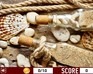 play Hidden Coins - Shell
