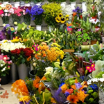 play Hidden Objects-Flower Shop