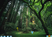 play Escape From Dense Forest