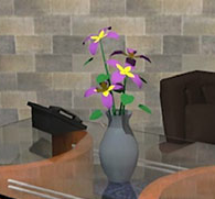 play Cool Studio Escape