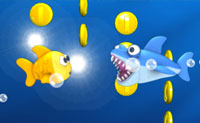 play Fishy Rush