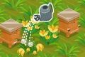 Yamina'S Honey Garden