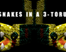 play Snakes In A 3-Torus